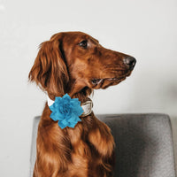 Dog Collar Flowers Attachement Bow Tie Accessories for Pet Grooming - Pink - image 3