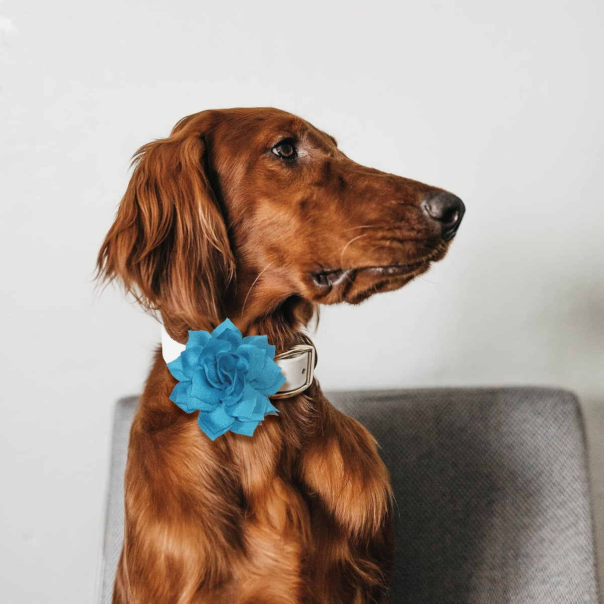 Dog Collar Flowers Attachement Bow Tie Accessories for Pet Grooming - Pink - image 3