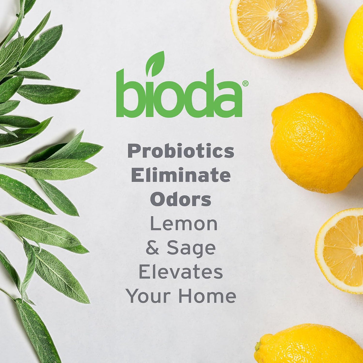 Bioda Commercial Strength Enzymatic Stain & Odor Eliminator for Pets - 32 oz - image 2