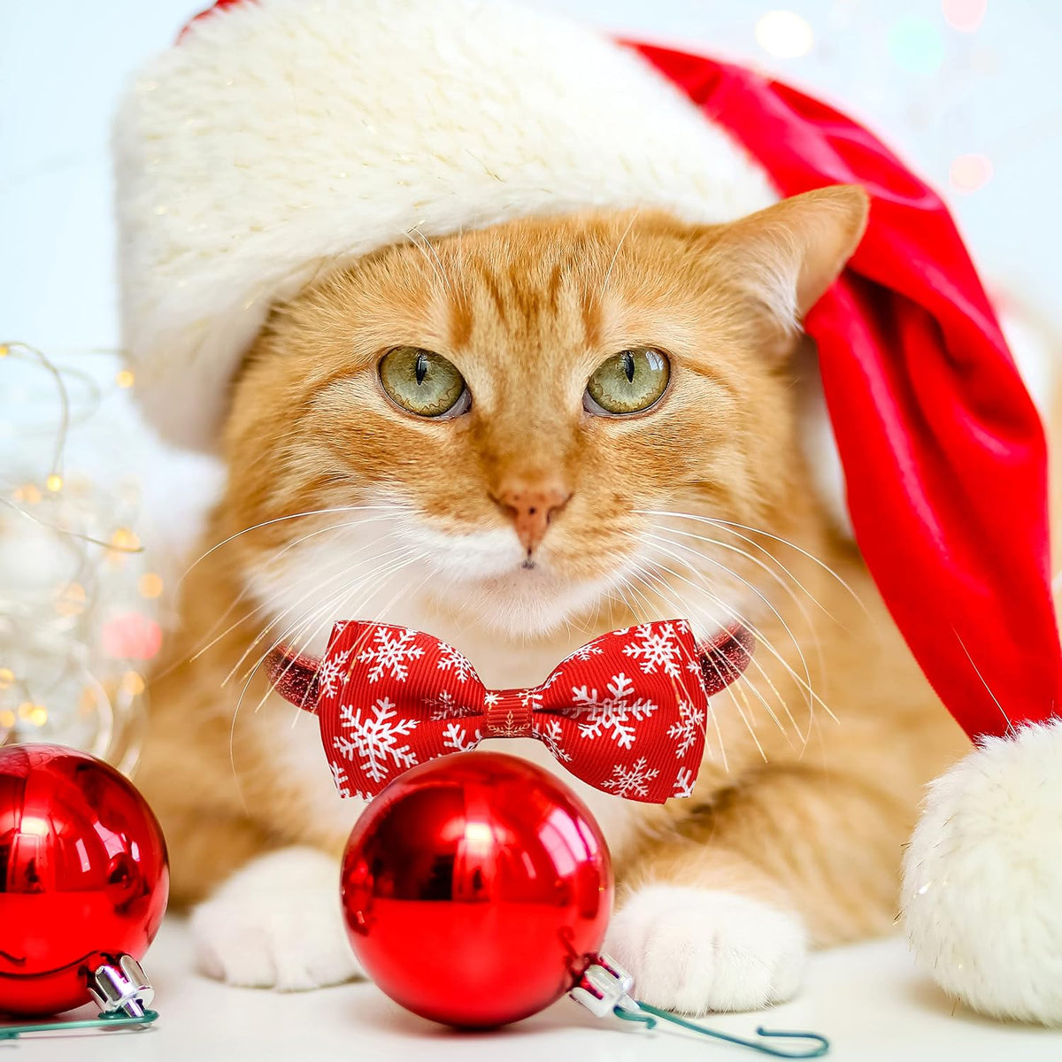2 Pack Halloween Cat Collars with Bells, Breakaway - Christmas Santa Snow - image 4