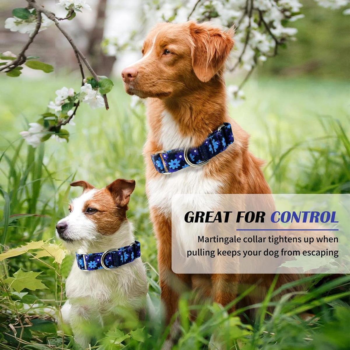 Hikiko Martingale Dog Collar Without Buckle - Navy Blue Flower / Medium - image 3