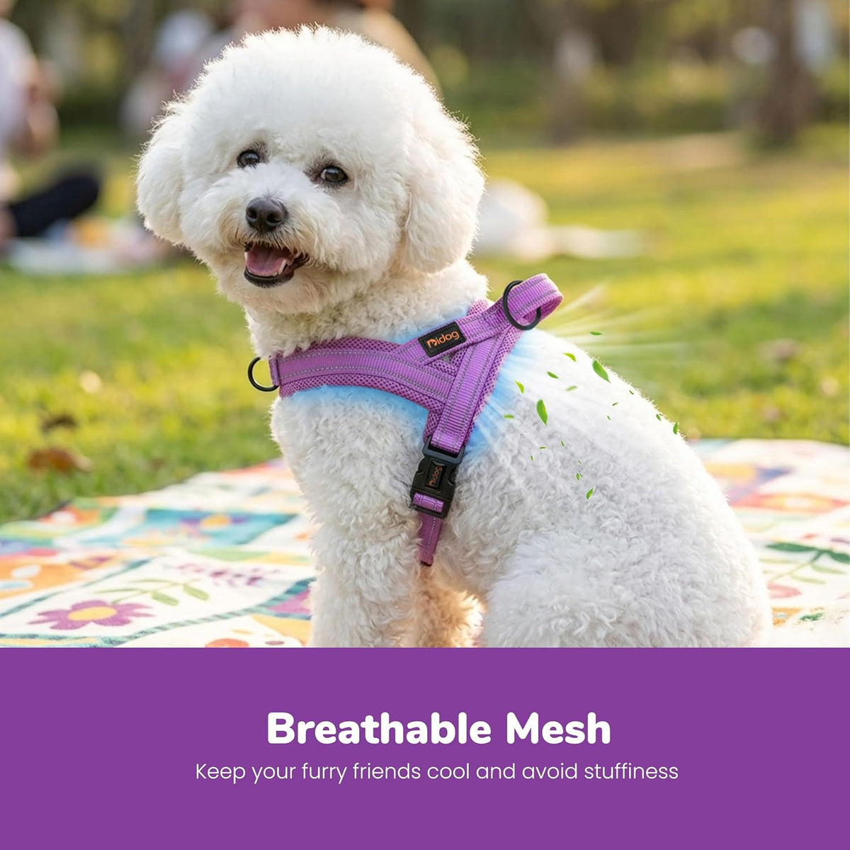 Didog No Pull Dog Harness for Large Dogs, Breathable Mesh Padded - Purple / XS: Chest 15-19", Fit 9-18 lbs - image 2