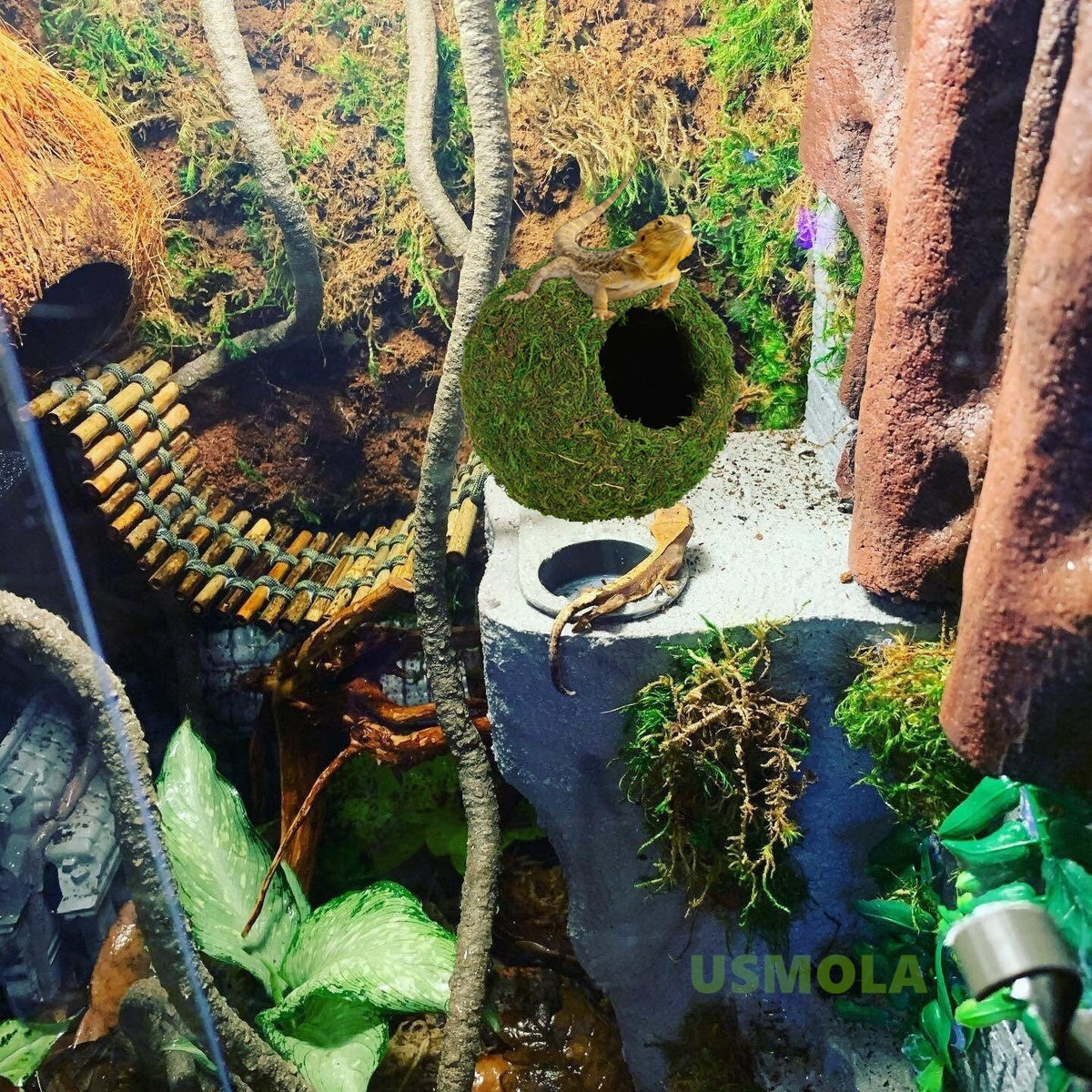 USMOLA Mossy Caves, Artificial Green Moss Caves Hide for Pet Reptile Frogs and Snakes, Terrarium - 6" - Woodland Green - image 2