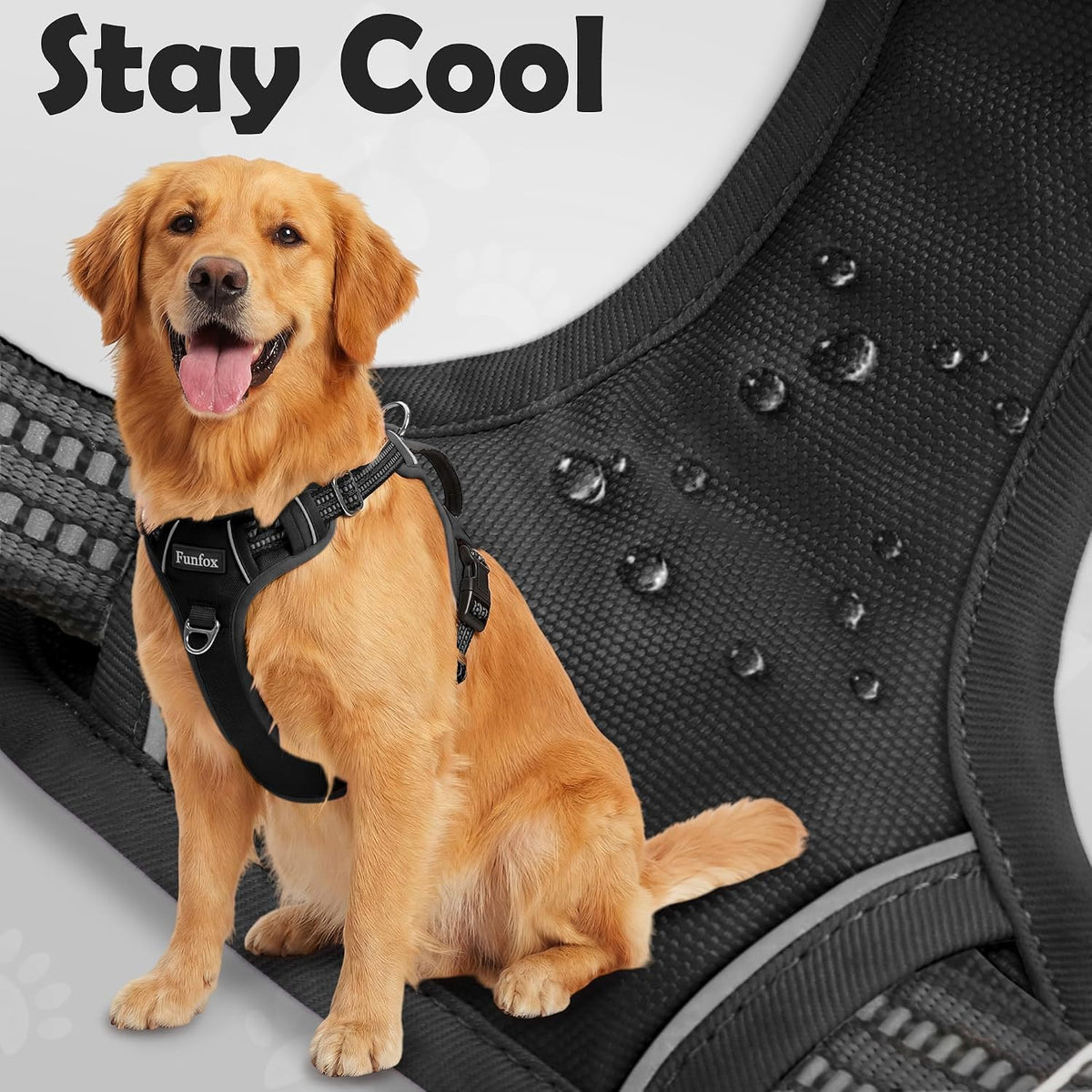 Funfox Dog Harness Medium Sized Dog - Black / Small - image 2