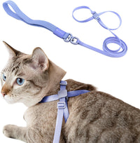 Cat Harness and Leash 2-in-1 - Blurple