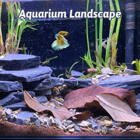 PINVNBY Natural Slate Rock 5lb PH Neutral Aquarium Rocks Aquariums Stones for Aquascaping, Landscaping Model, Reptile & Amphibian Enclosures, Tank Decoration