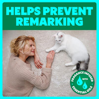 SHOUT Pet Stain Remover Spray - 22 Fl Oz (Pack of 3) / Trigger - image 4