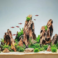Dragon Stone Rock for Aquascaping,Aquarium Decor, Fish Tank Decorations,3-10 Inches Natural Ohko Stone for Fish Tank Landscaping (13.2 Pounds)