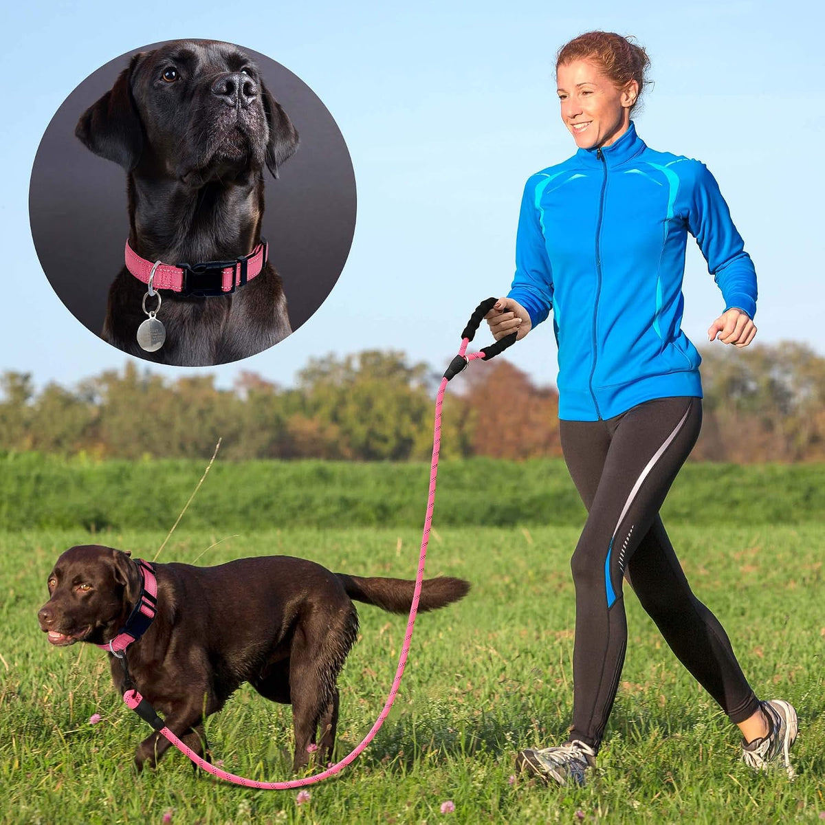Ladoogo Reflective Dog Collar Padded with Soft Neoprene - Pink / Medium - image 4