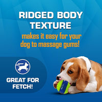 Nerf Dog Toy Gift Set, 3-Piece Set of Outdoor Dog Toys for Fetch, Includes Checker Crunch Ball, Spike LED Squeak Ball and Tire Squeak Football
