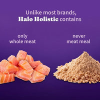 Halo Holistic Cat Food Wild Caught Salmon & Whitefish Formula, Grain Free Dry Cat Food, For Healthy Weight Support, Kibble for Indoor Cats, 10 lb Bag