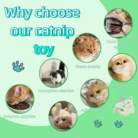 Natural Cat Toys Set with Catnip Fish & Bone,Catnip Plush Toy & Natural Silvervine Stick Cage Balls & cat nip for Cats Lolipop, 8-Piece cat Toys for Indoor Cats Interactive Pet Toys