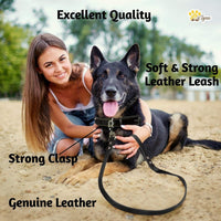 ADITYNA Leather Dog Leash for Large, and Small Dogs - L - 6 ft x 3/4 inch / Black - image 3