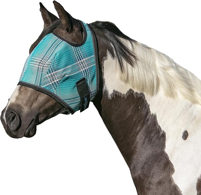 Kensington Fly Mask Web Trim Protects Horses Face and Eyes from Bites and Sun Rays While Allowing Full Visibility Ears and Forelock Able to Come Through The Mask, Medium, Atlantis