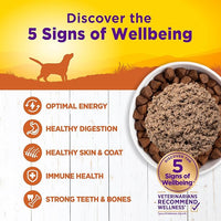 Wellness Complete Health Natural Wet Canned Dog Food Turkey & Sweet Potato, 12.5-Ounce Can (Pack of 12)