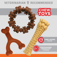 Nylabone Power Chew Customer Favorites Dog Chew Toys - Large / Bundle - image 3