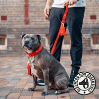 Dog Friendly Co. Poop Bag Holder for Leash, Dog Waste Bag – Essentials for Dogs - Pink - image 4