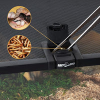 REPTIZOO Small Reptile Tank 20" x 12" x 6" Glass Reptile Terrarium with Top Feeding Habitat for Snake Spider