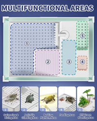 MoonOrange Turtle Tank Kit - M Set-15.7” x 11.8” x 10” - image 4