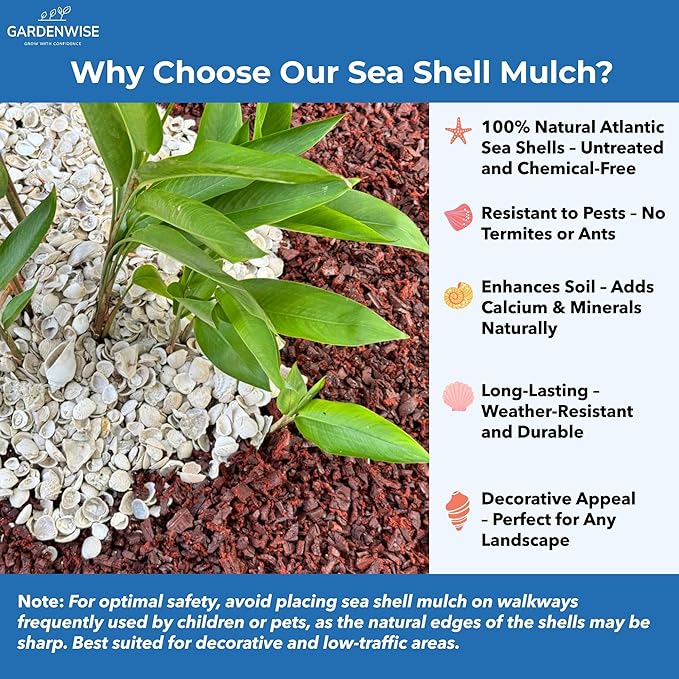 Natural Organic Sea Shell Mulch for Gardens and Landscaping – Decorative and Nutrient-Rich, 0.5–3-Inch Shells, Perfect for Indoor and Outdoor Use (0.3 CF - 8 L - 9 QTS)