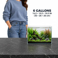 Low Iron Glass Ultra Clear Rimless Aquarium Tank - 6Gal 14.1" L × 10.2" W × 10.2" H - image 2