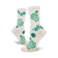 Succulent Plants