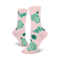 Succulent Plants