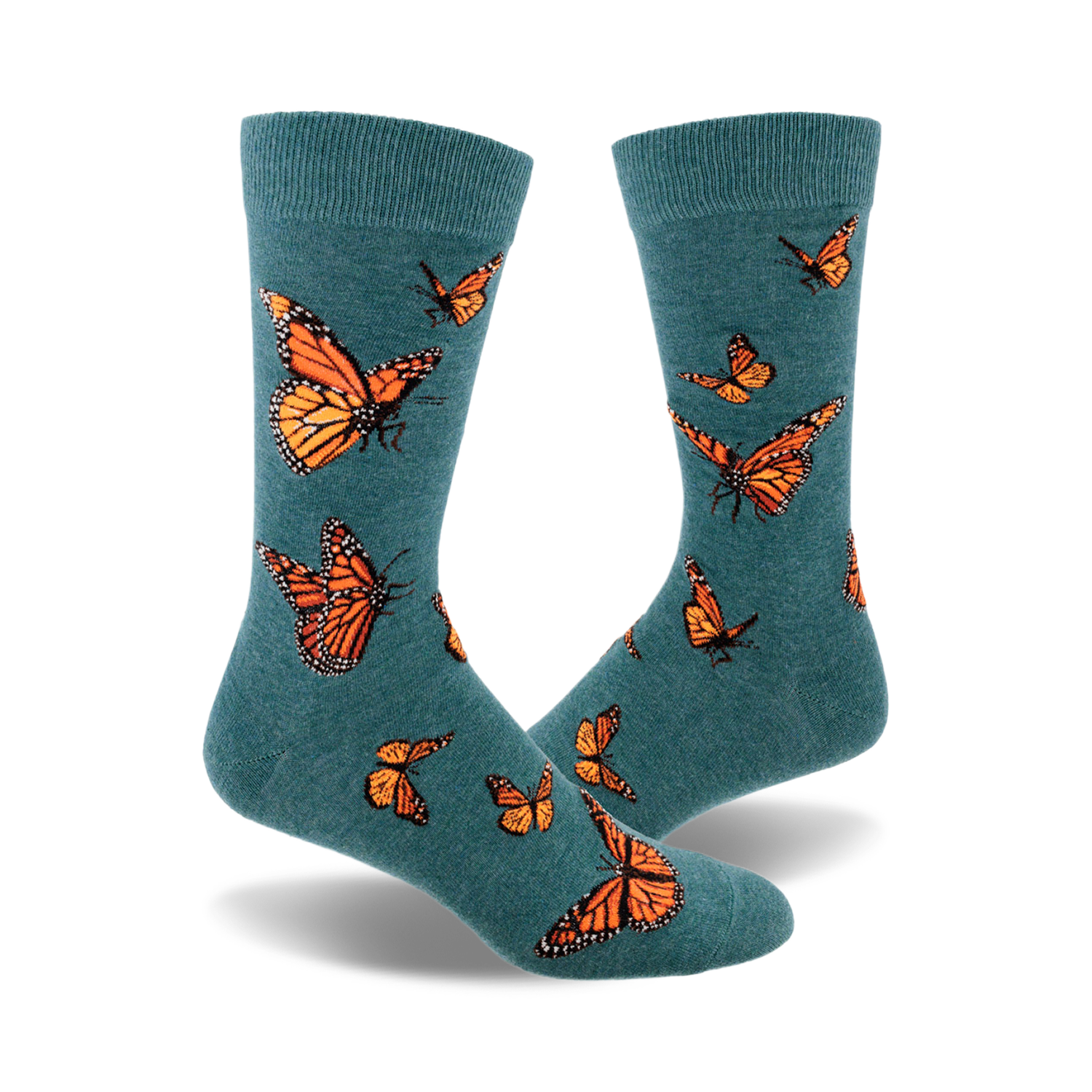 Monarch Butterfly