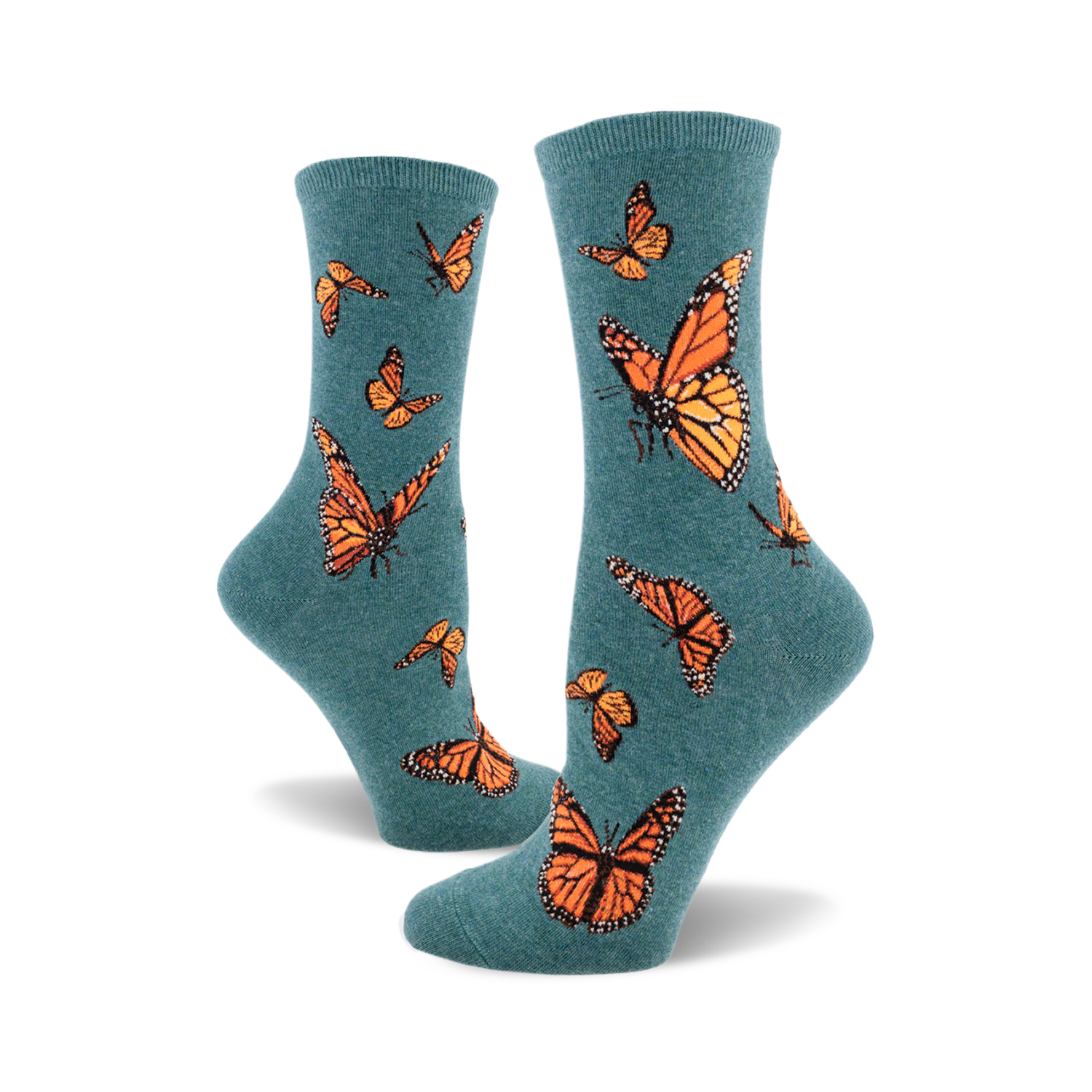 Monarch Butterfly