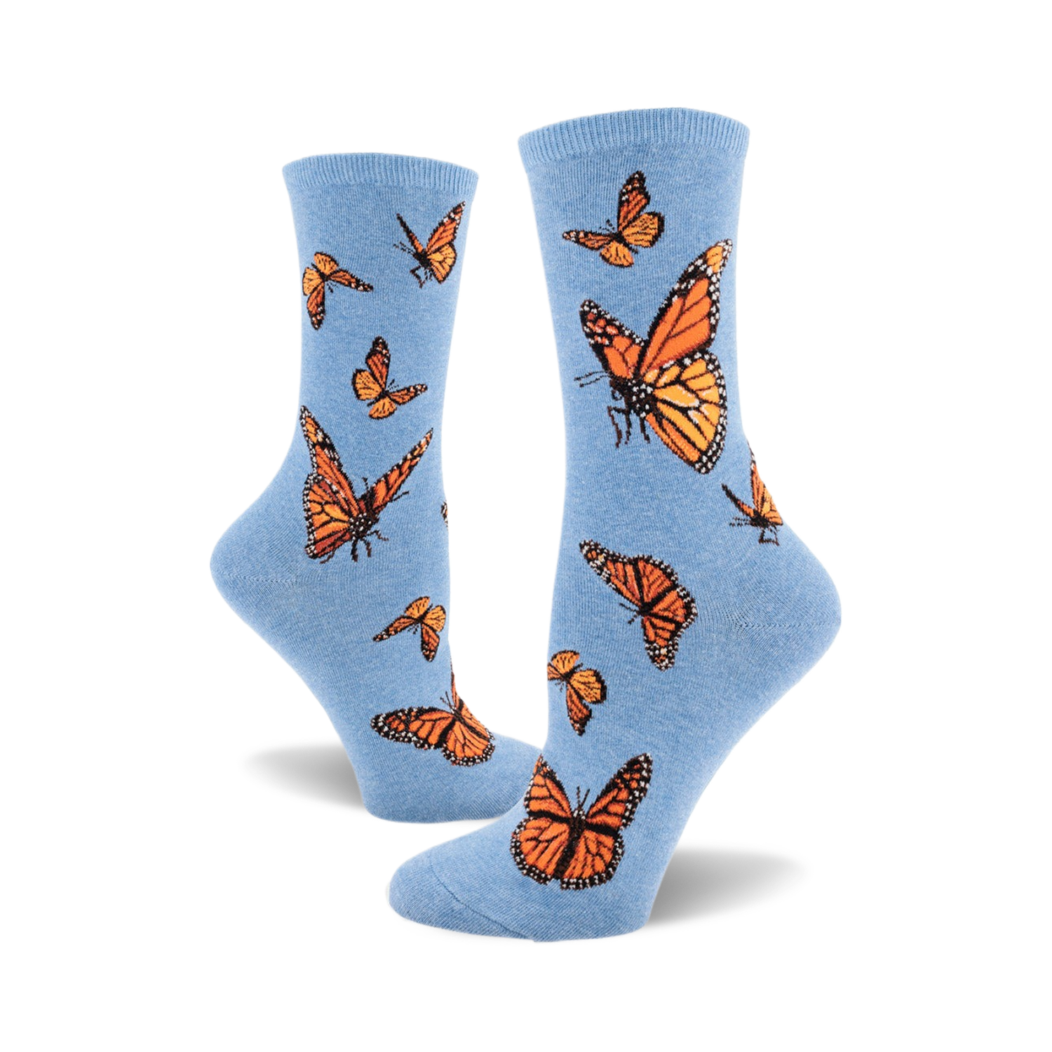 Monarch Butterfly