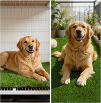 HEBE Fake Grass Turf Rug 20''x30'' - 35"x59" - image 3