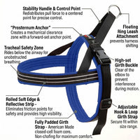 ComfortFlex No-Choke Non-Chafe Sport Dog Harness - Large / Mariner Blue - image 3