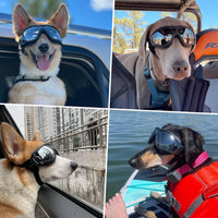 Dog Goggles for Large Breeds - Black L - image 2
