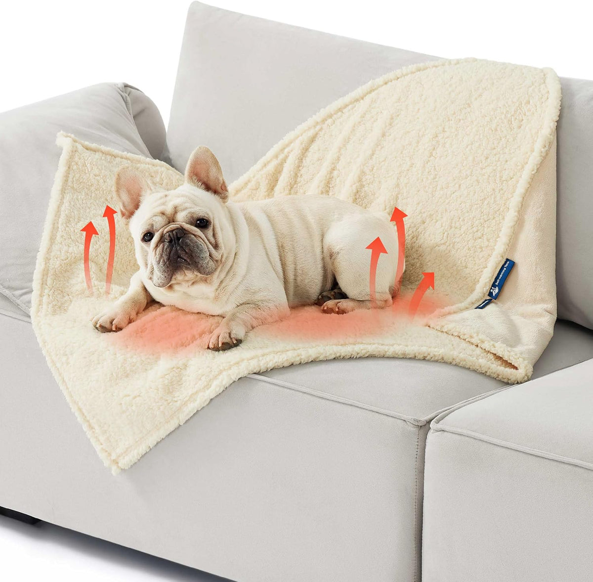 Bedsure Waterproof Dog Blankets for Small Dogs Soft Cat Blanket Warm - M(30x40") / Antique White-self Warming