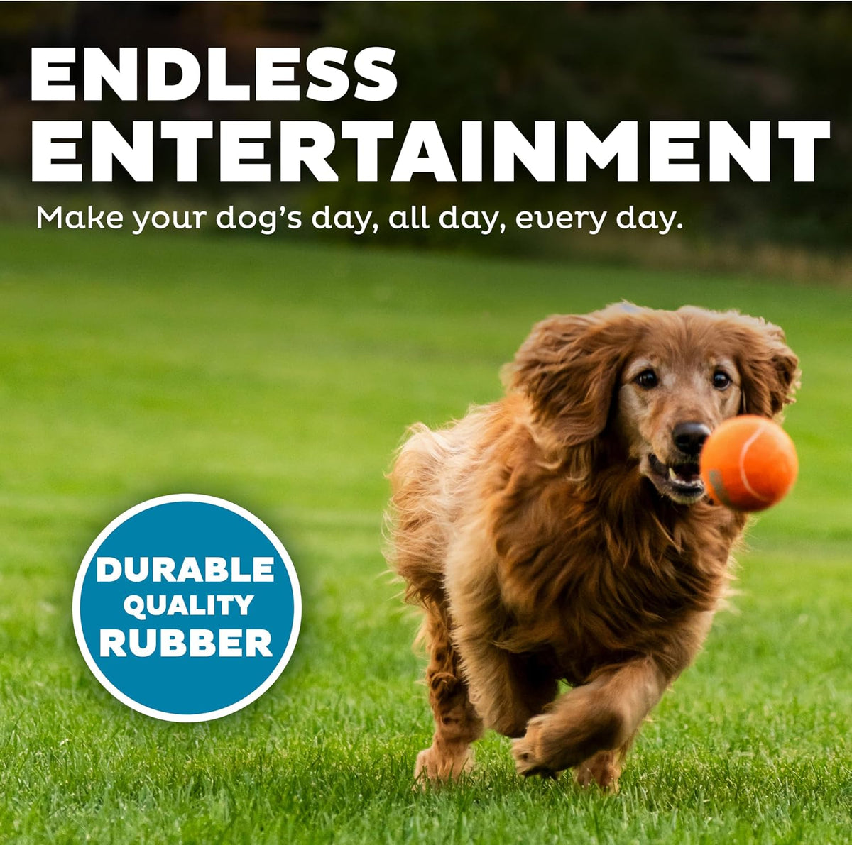Outward Hound Squeaker Ballz Tennis Ball Dog Toy, 2.5", 4‑Pack - Multi Squeaker Balls / Large / 4-Pack - image 4