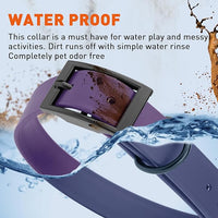 Dogline Biothane Waterproof Dog Collar Strong Coated Nylon Webbing with Black Hardware Odor- Proof for Easy Care Easy to Clean High Performance Fits Small Medium or Large Dogs, Violet Purple