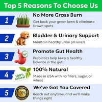BARK&SPARK Green Grass Chews - Pee Grass Spot Saver Caused by Dog Urine - Urine Neutralizer for Lawn, Gut Health Probiotics & Digestive Enzymes,Lawn Burn from Dog Urine, Grass Burn Spot Chews, Rocks