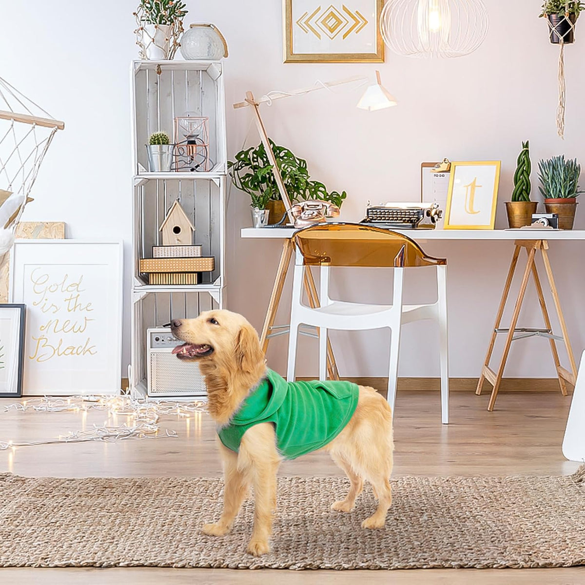 Fleece Dog Hoodie with Pouch, Green S – Essentials for Dogs - XX-Large / Green - image 2