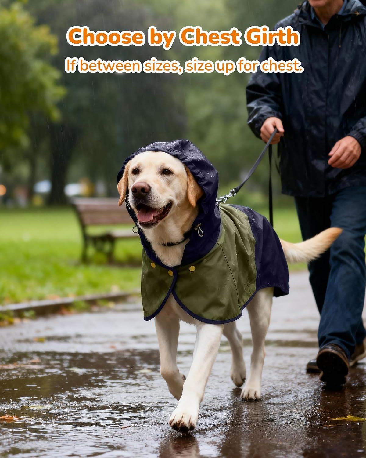 Waterproof Dog Raincoat with Hood - X-Small / Blue-Green - image 3