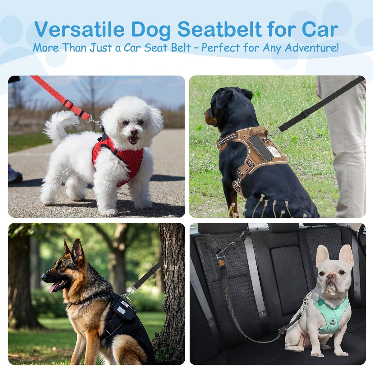 3 Pack Small Dog Belt for Car - Red & Black & Purple - image 3