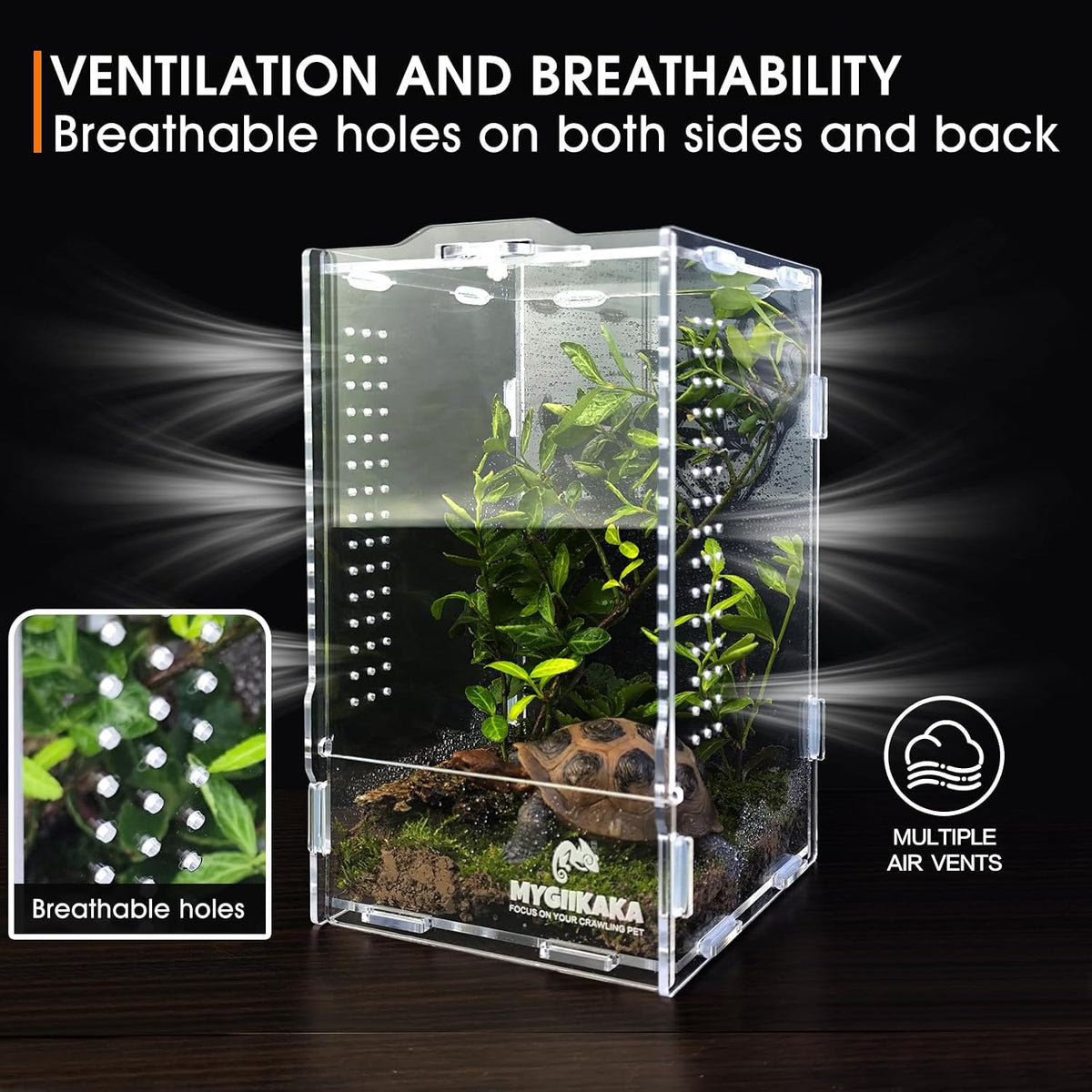 Acrylic Jumping Spider Enclosure, Insect Terrarium for Spiders - Small (Pack of 3) - image 3