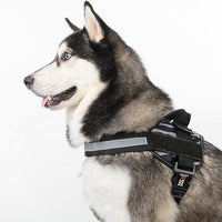 Dogline Dog Harness, Reflective No-Pull Adjustable Vest with Handle for Walking, Training, Breathable, No - Choke Harness for Small, Medium or Large Dogs Room for Patches Zebra Black/White S 18"-24"