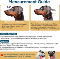 Muzzle Leash for Heavy Pullers, No Pull Stylish Head Halter – Essentials for Dogs - Blue / L (Snout Cir: 11"-12½”) - image 2