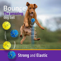 Kimee Dog Balls Tennis Balls Dog Chew Toys for Aggressive Chewers - 1 Ball (2.75in) - image 4