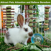 3 Pcs Bunny Chew Toys with 3 Pcs Rabbit Chew Lollipop for Teeth Grinding, Improve Dental Health, Treats for Rabbits Guinea Pigs Chinchillas Bunnies Hamsters