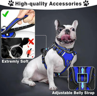 WINSEE Pet Harness Collar and Leash Set - X-Large / Dark Blue - image 2