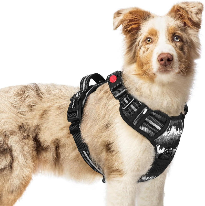 rabbitgoo Dog Harness for Large - Mountain Black / Medium
