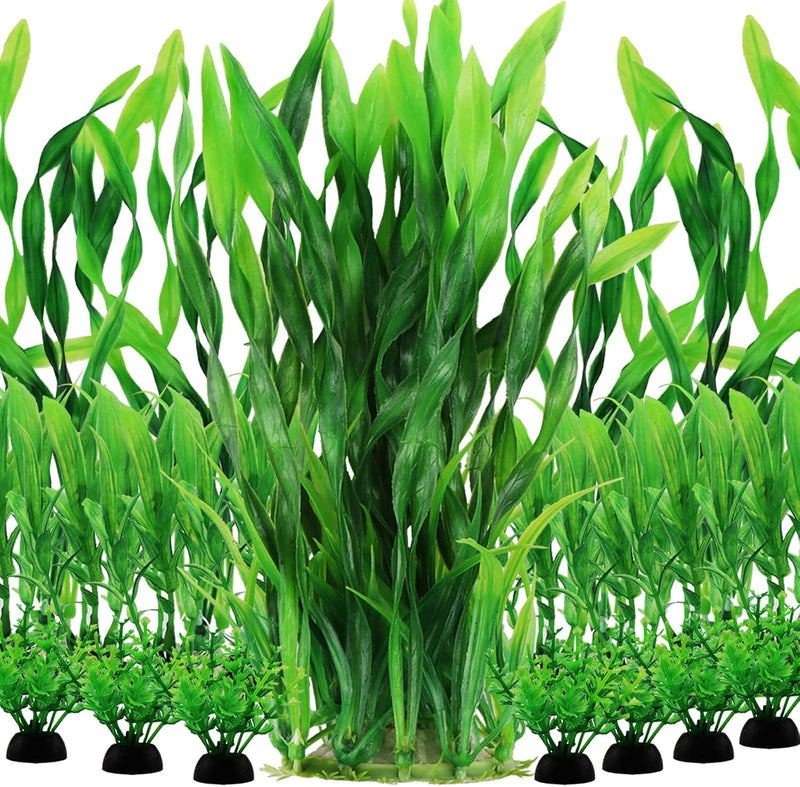 Aquarium Plants, Small to Large