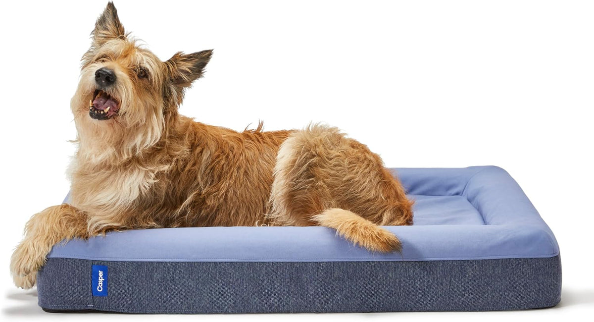 Casper Dog Bed, Plush Memory Foam - Blue / Small