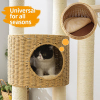 SHODMI 54" Modern Cat Tree Tower for Indoor Cats - FQ-RL24-X0XP - image 2